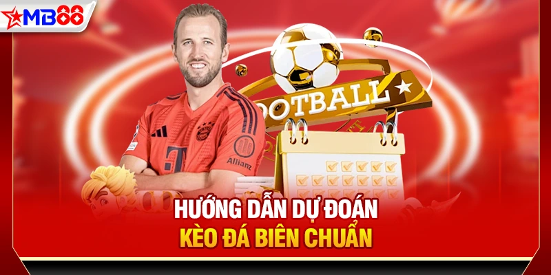 Hướng dẫn dự đoán kèo đá biên chuẩn